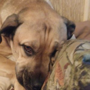 Meet your Posher, Kaitlynne